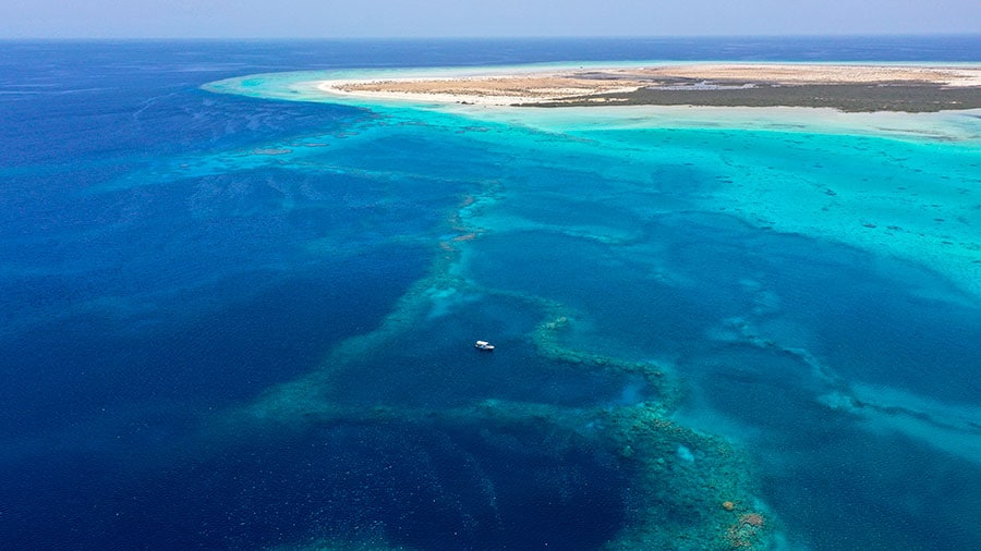 サウジ西岸の紅海には、美しい珊瑚礁が広がり、2030年までに48軒の高級リゾートが開業予定。