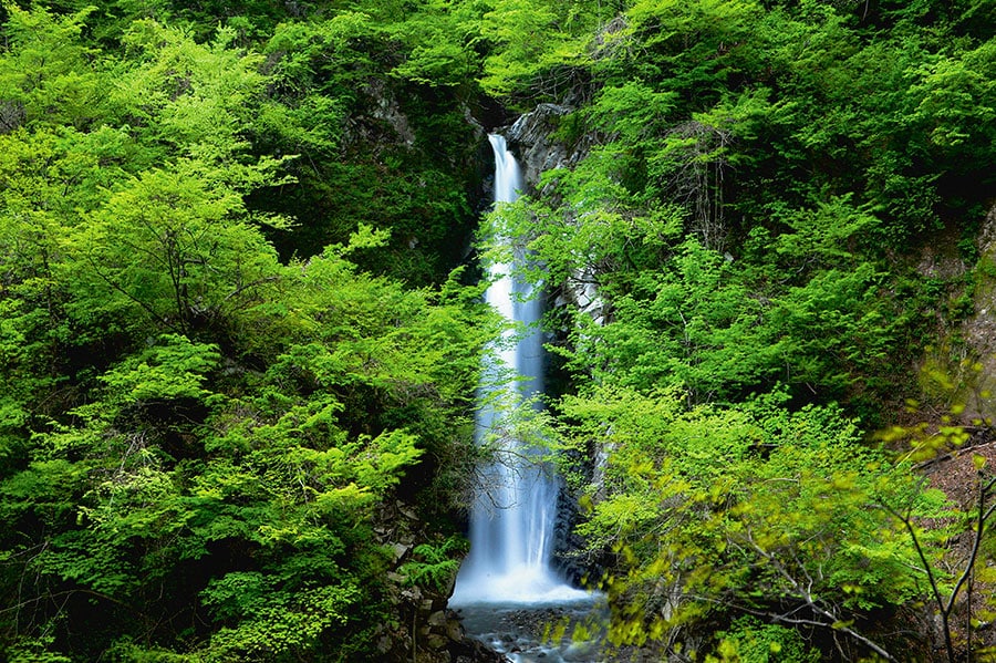 【鳥取県】大山滝。