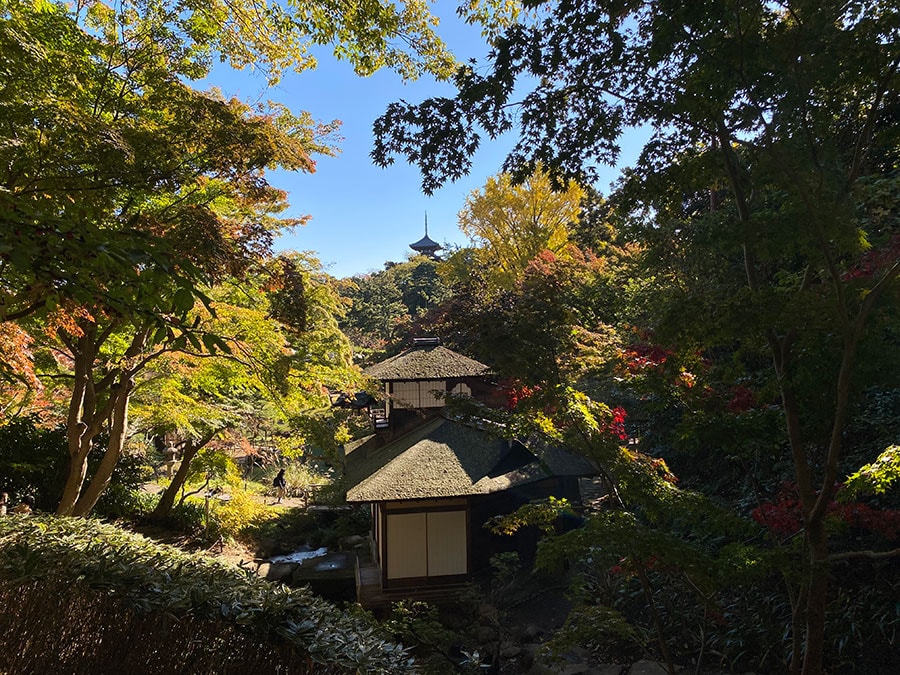 遊歩道からの眺め。聴秋閣の奥には三重塔も見え、趣のある景観を楽しめます。
