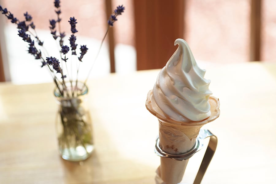 口溶けがよくスッキリとした甘さの「ジャージー牛乳のソフトクリーム」500円。