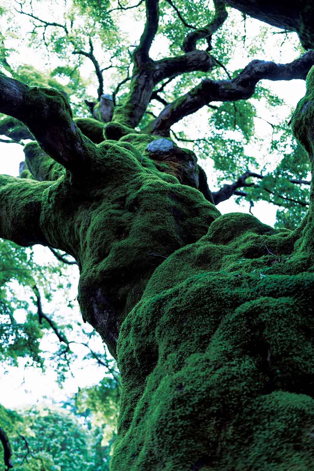 img_c928efafdc1324e61f9bd93997