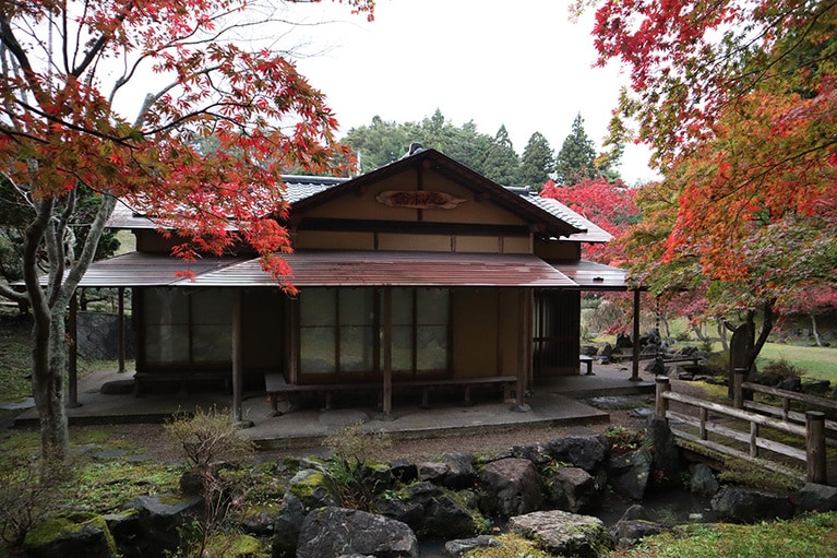 【青森県】道の駅なんごう「カッコーの森エコーランド」の紅葉。