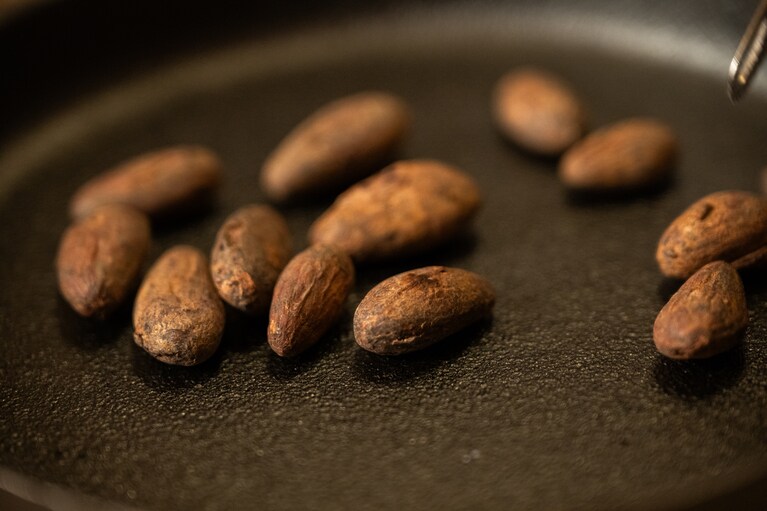 ローストしたカカオ豆。