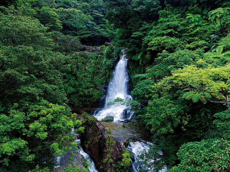 西表島ホテル限定アクティビティ「ダイナミック西表島アドベンチャー」のゴールは秘境、ナーラの滝。