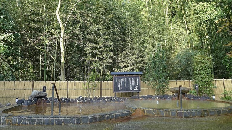 緑に囲まれた絶景の露天風呂は源泉かけ流し。美肌効果、保湿効果が期待できる高濃度炭酸泉や、寝転んでお湯につかれるねころび湯などもある。