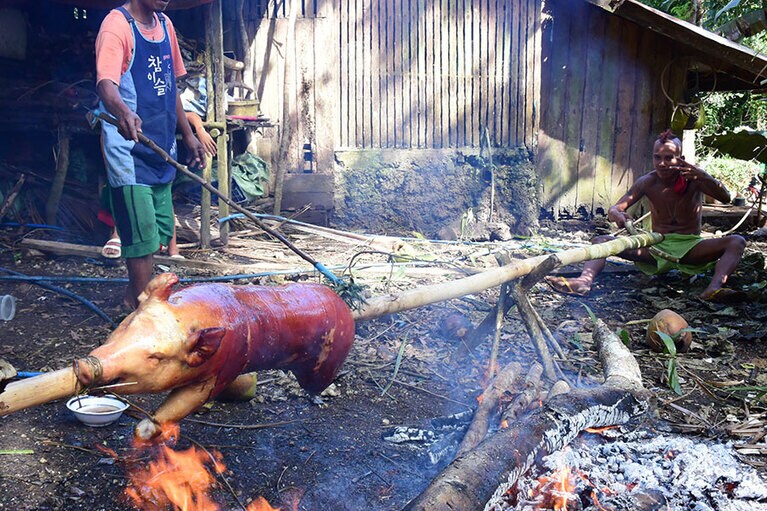 島の各村それぞれで年に一度開催される“フィエスタ”に向けて、アニー・ポンセさん宅ではブタの丸焼きを準備中。