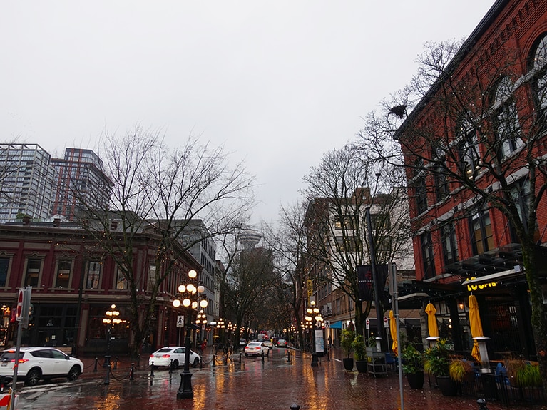 風情あるガス灯を模したライトが映える街並み。