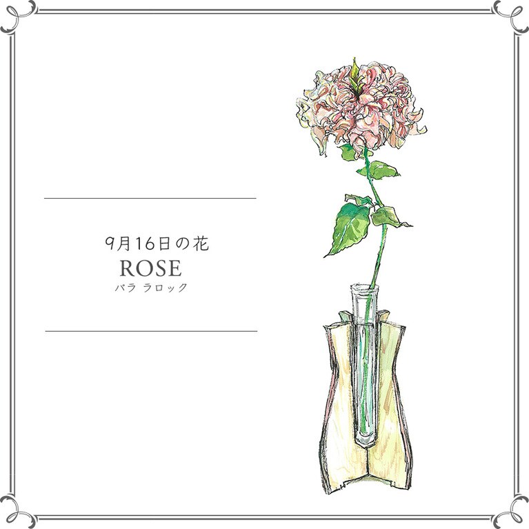 9月16日の花「バラ ラロック」