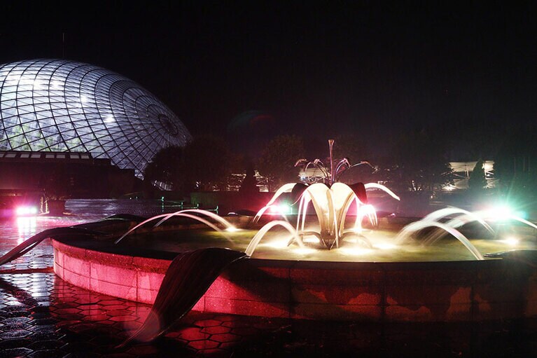 とっとり花回廊。ヨーロピアンガーデン。