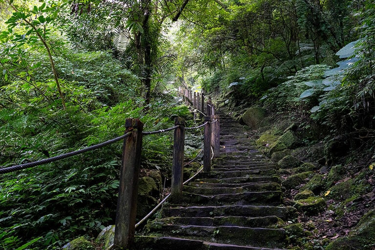 ゴツゴツした石の階段が続く。