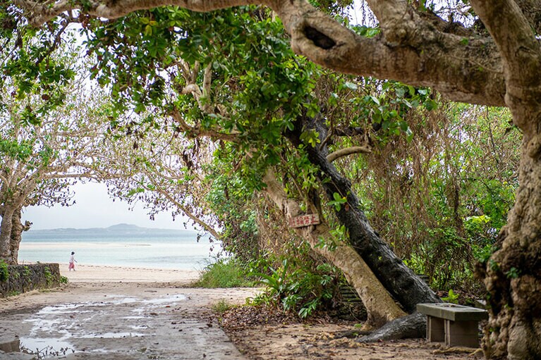 2日目はぜひビーチへ。絵に書いたような美しい景色が待っている。