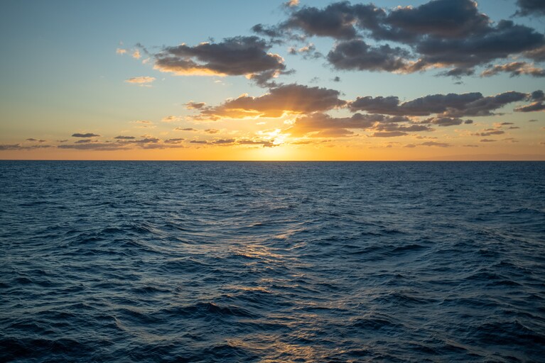 美しい地中海で何が起こっているのか、日本ではほとんど知られていない。