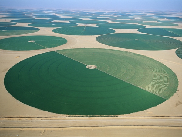 サウジの砂漠を埋め尽くす無数の緑の円の正体は 今日の絶景