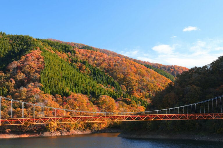 九頭竜湖の紅葉。