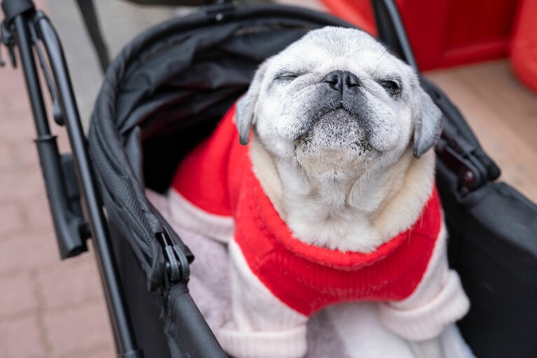 アザーカット。