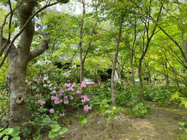 大洞窟の宿 湯楽亭［熊本／弓ヶ浜温泉］庭園。