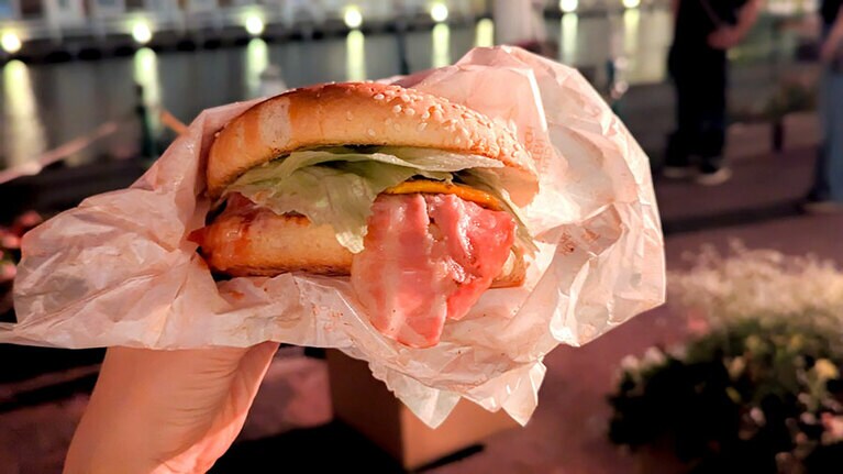 佐世保バーガー片手に本日のクライマックス『スペクタルランタンナイトショー』を。