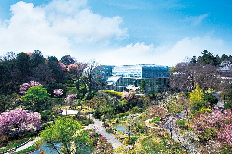 高知県立牧野植物園／高知県