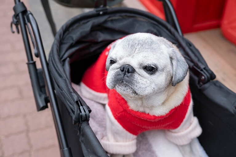 アザーカット。