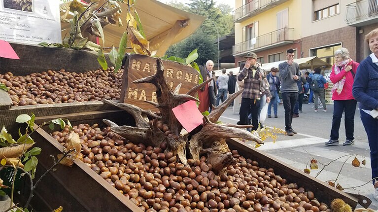 とにかく街中栗だらけ！　至る所で栗を売っています。