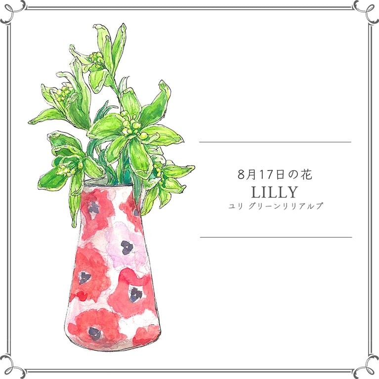 8月17日の花「ユリ グリーンリリアルプ」