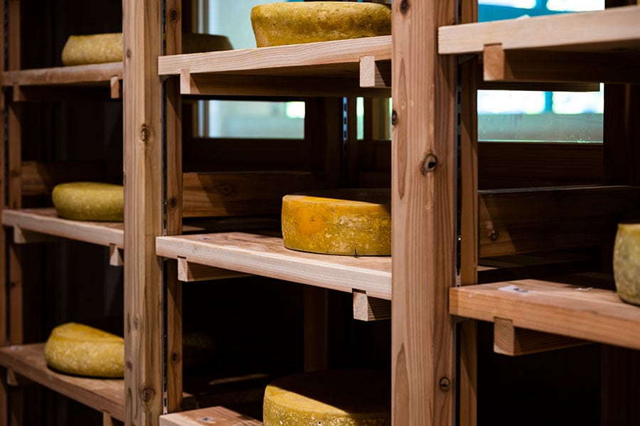 滋賀県竜王町の「古株牧場」が監修するチーズ製造室と熟成庫。