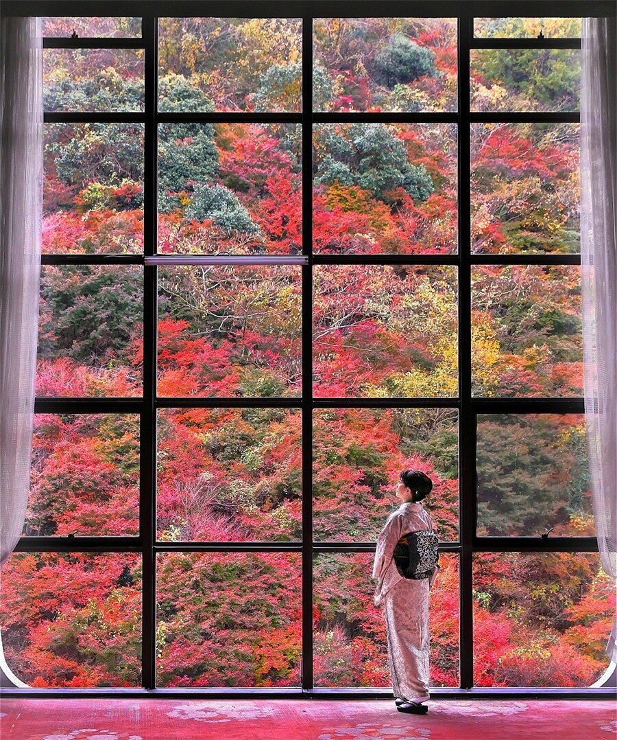 【愛媛県】奥道後 壱湯の守の紅葉。©kunihito ohtsubo photography