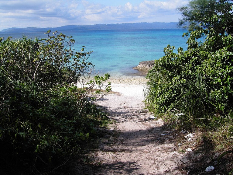ジャングルを抜けてアプローチする西の浜。