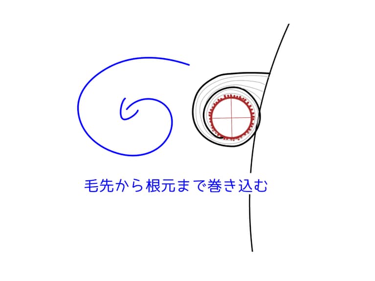 毛先から根元へとカーラーを回し、髪を巻いていく。毛先からスタートし根元まで巻くのがポイント