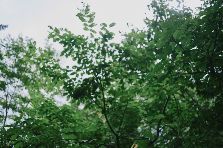 上高地で深呼吸をするだけで、都会の喧騒なんて忘れてしまう。