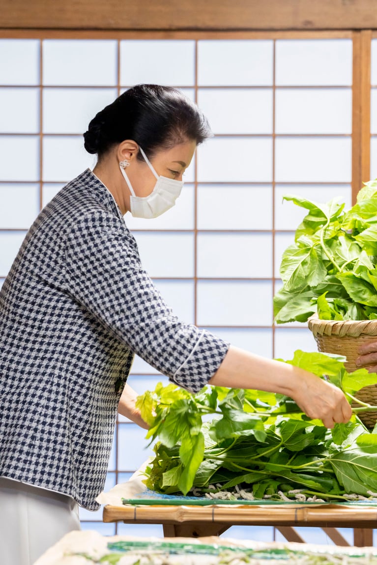 2024年6月、紅葉山御養蚕所で御給桑行事をされる雅子さま（宮内庁提供）