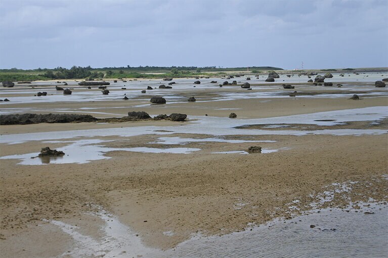 「日本の渚100選」にも選ばれている佐和田の浜。