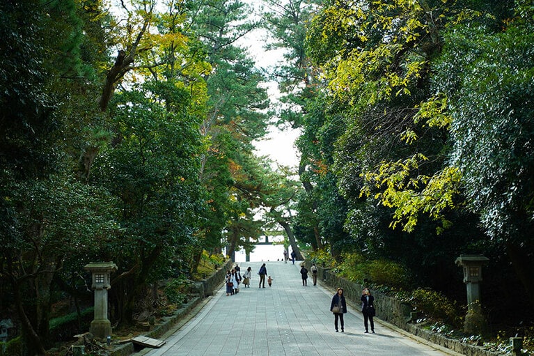 樹齢を重ねた木々の参道を歩き、本殿へ。