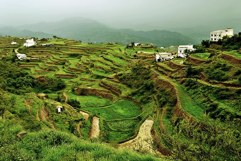 砂漠の国と思いきや、南部アシール地方には、こんな心が癒やされる風景が。