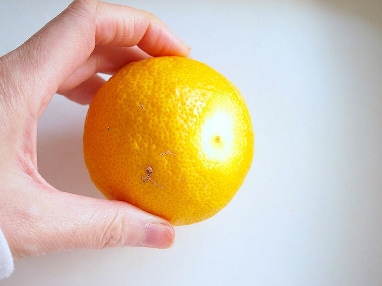 (2) 柚子は、容器にするためにヘタ周辺部分を切り落とします。柚子の底の部分は盛り付けた時にグラグラするのを防ぐため、少しだけ切って安定させましょう。※切りすぎると穴が開いてしまうので注意しましょう。