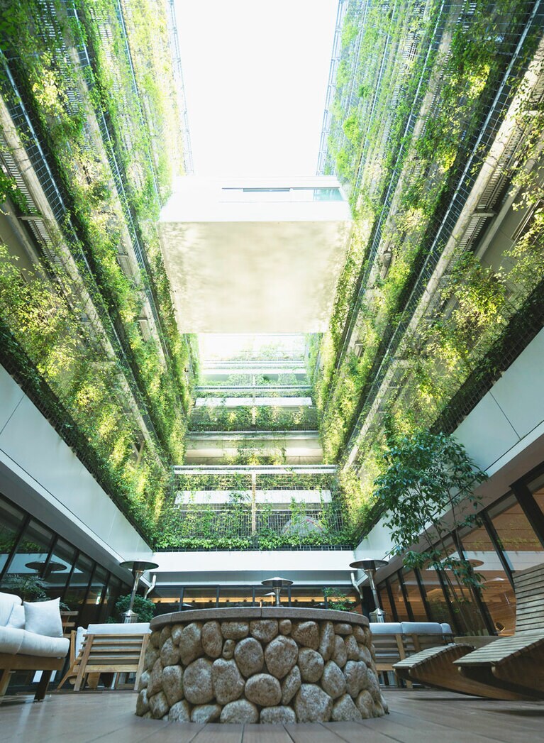 瑞々しいグリーンに癒やされる中庭。