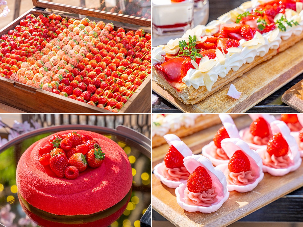 スイーツビュッフェのメニュー例。左上より時計回りに、宝石のように並ぶフレッシュな「旬のいちごビュッフェ」「ストロベリーパイ」「いちご最中」「いちごチーズケーキ」。