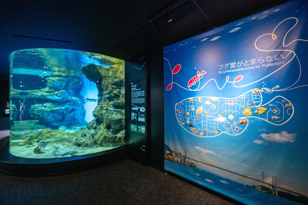 「フグ愛がとまらない」。