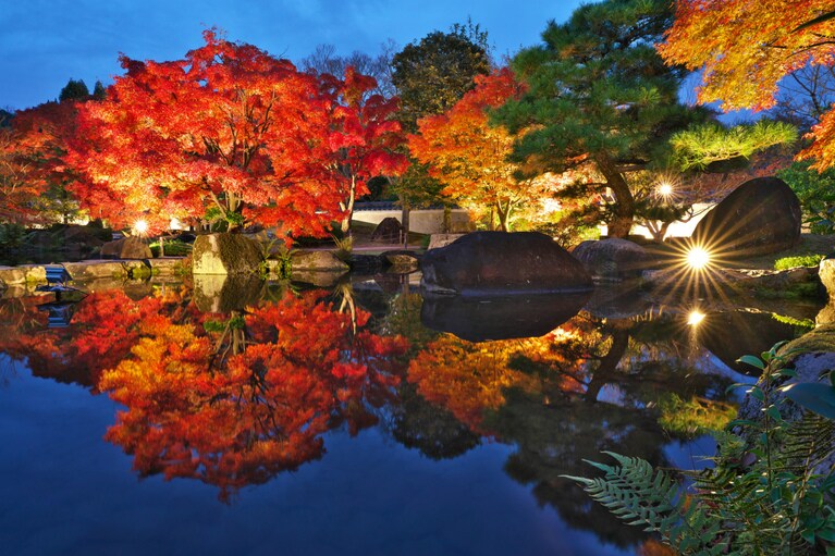 ライトアップされた紅葉と姫路城を一望できる好古園の「紅葉会（もみじえ）」。