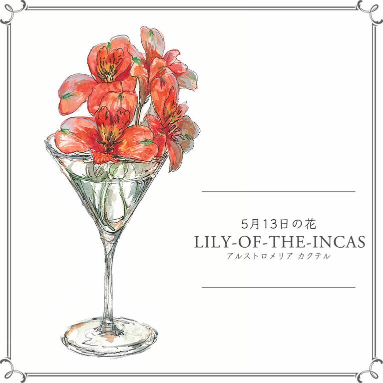 5月13日の花「アルストロメリア カクテル」