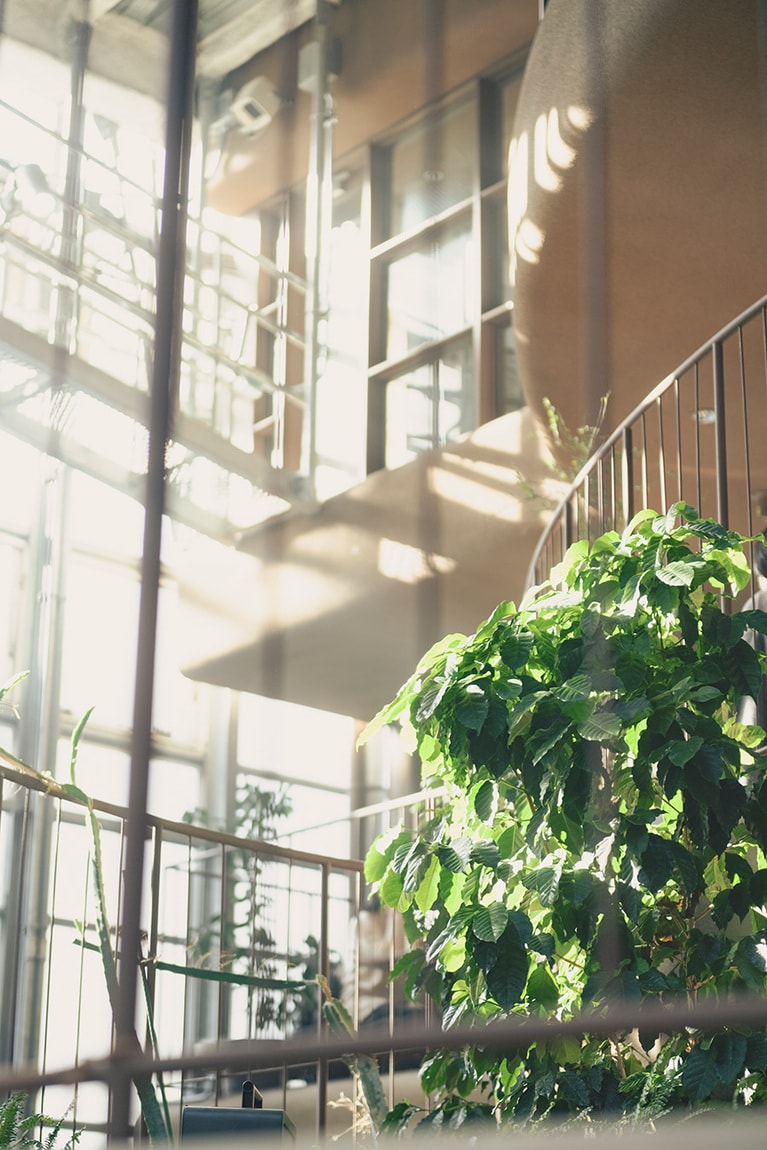 施設内は温室になっていて、晴れた日には気持ちのよい空間が広がっている。