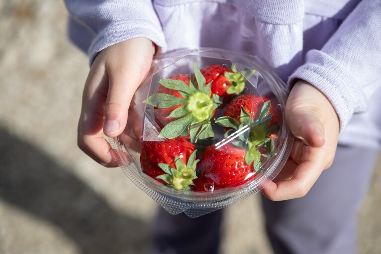 THE FARMスロウマウンテン成田。