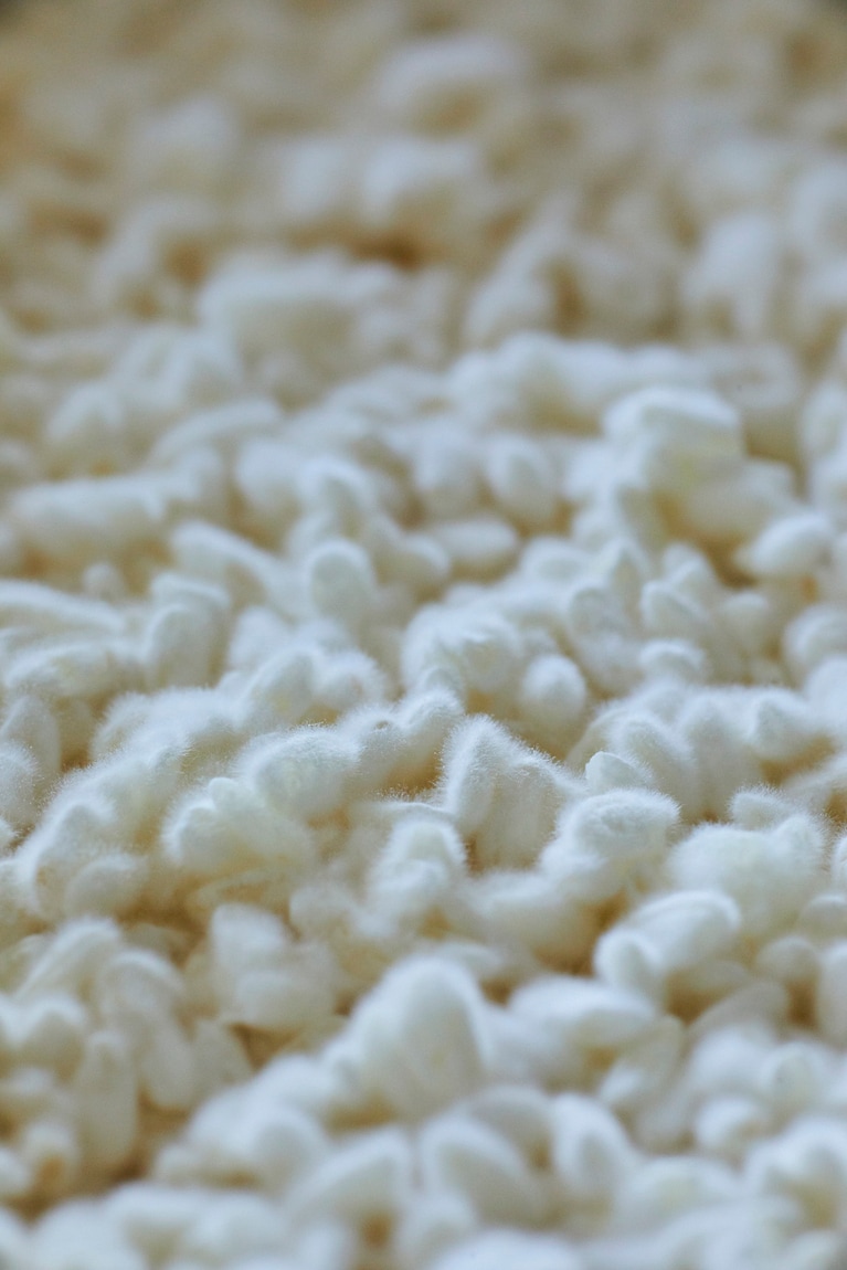 表面に菌糸が伸びている様子。撮影／寺澤太郎　『麹づくりと発酵しごと』より