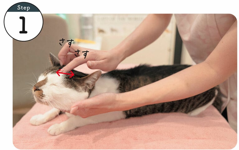 使用するツボ：脳戸。