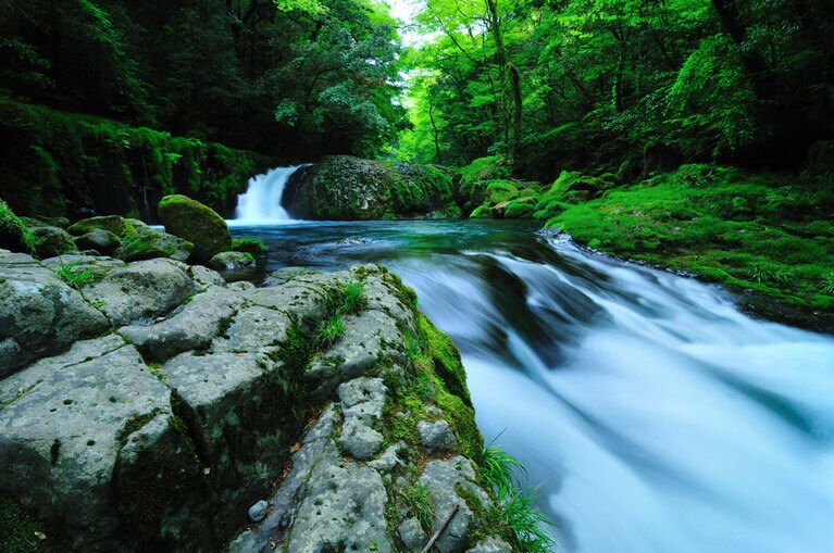【熊本県】菊池渓谷。