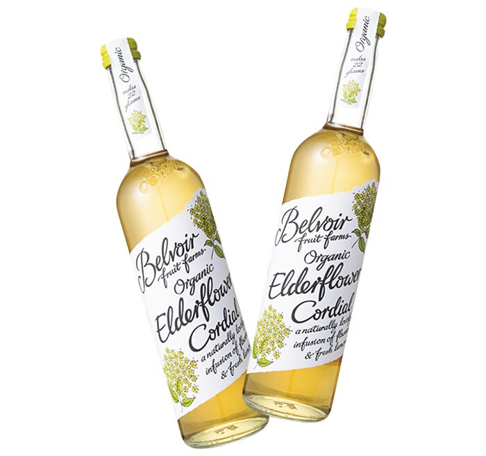 有機コーディアル エルダー フラワー 500ml 1,650円／ビーバーフルーツファーム社