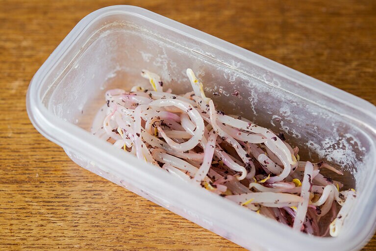 もやしナムル。