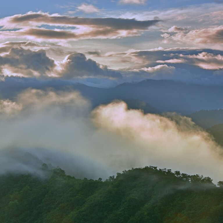「うおぬま滝雲シャトルバス」の運行情報は、魚沼市観光協会のホームページをご確認ください。バス料金は1000円ですが、宿泊者は無料。