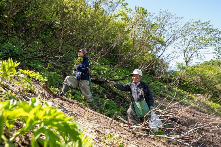 山うどが自生している穴場に向かう桑木野さんと達三さん。