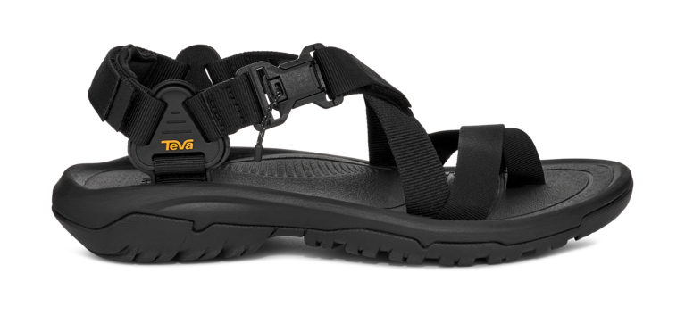 「Hurricane Terra Dactyl」